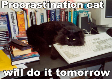 Illustration for article titled I should be cleaning but instead....